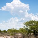 NAM OSHI Etosha 2016NOV26 043 : 2016, 2016 - African Adventures, Africa, Date, Etosha National Park, Month, Namibia, November, Oshikoto, Places, Southern, Trips, Year